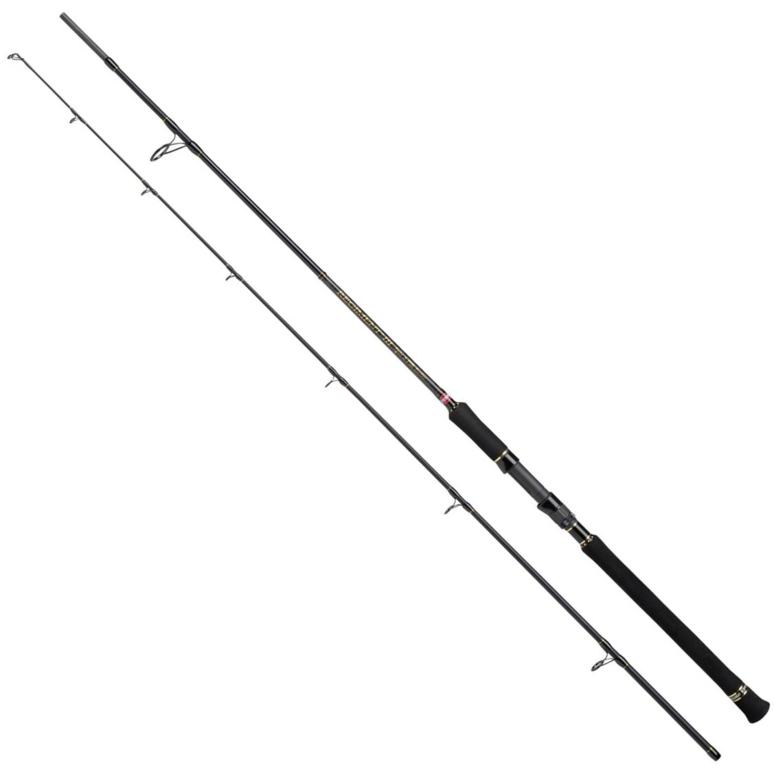 Moulinet de pêche PENN Torque II Spinning Reels Penn Reels Spin Fishing