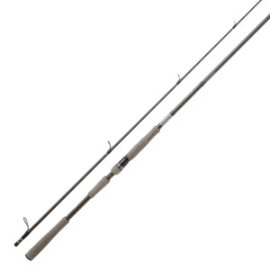 Canne à lancer Daiwa Saltist Ags III 1002HXHfscf 305cm 14-56g