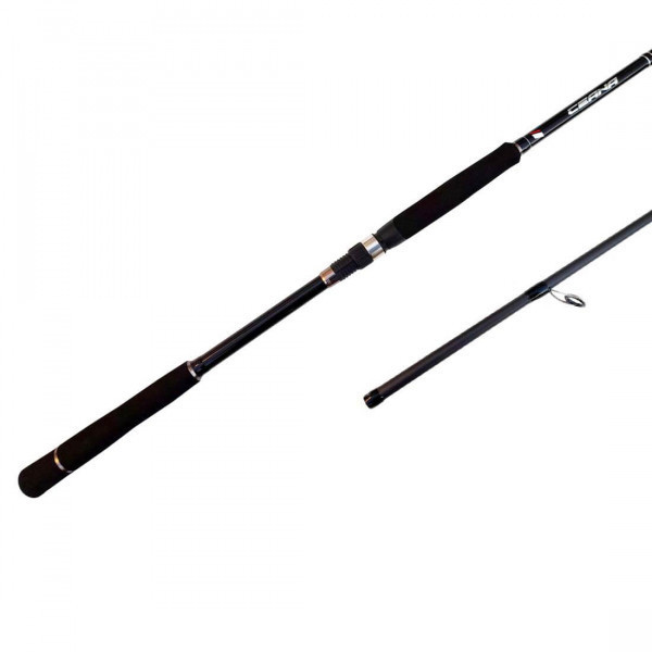 Canne MajorCraft Ceana Seabass 802ML - 2.44m 10-30g