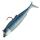 045 Sparking Sardine