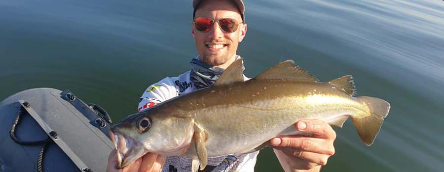 La pêche du lieu jaune au leurre : Ma sélection de leurres souples et de  jigs - DPSG