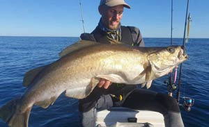 gros lieu jaune pêché au jig