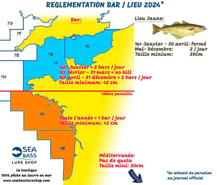 carte de la règlementation pêche du bar 2024 et lieu jaune