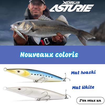 Leurre Asturie