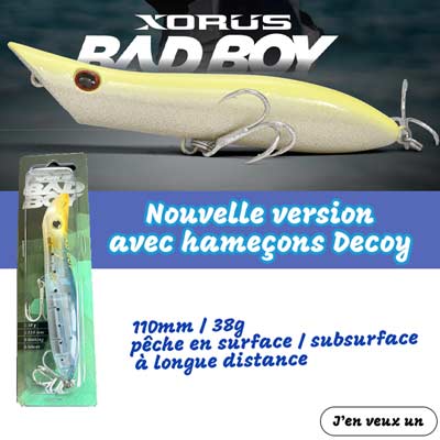 arrivage du bad boy