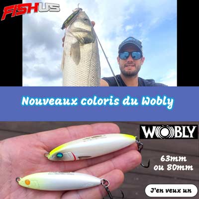 nouvelles couleurs de Wobly