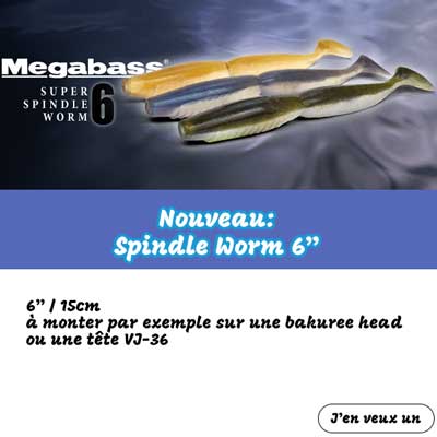 super spindle worm 6