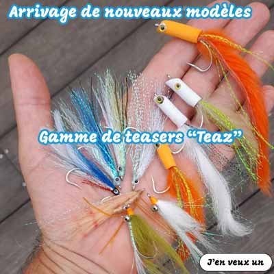 nouveaux modèles de teasers