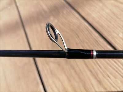 anneau canne daiwa lexa seabass