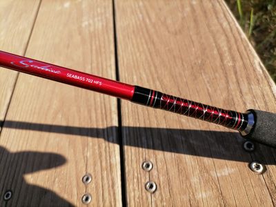 détail canne daiwa saltist seabass