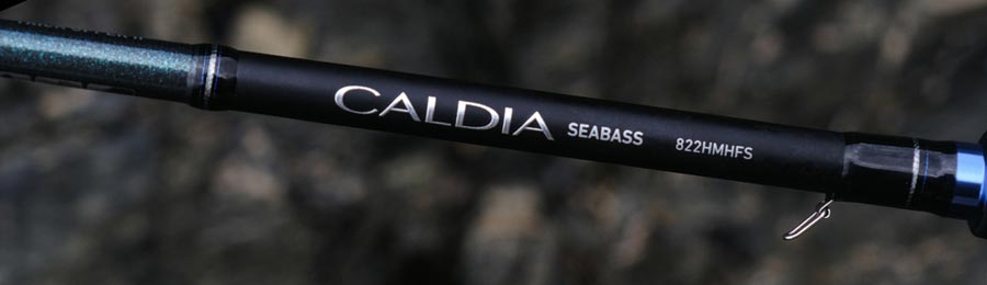 canne Daiwa Caldia Seabass