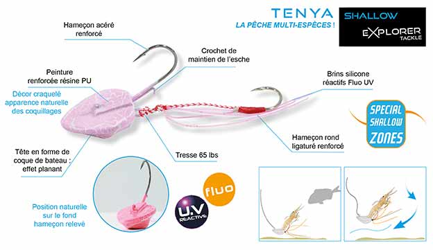 le tenya explorer shallow en détails